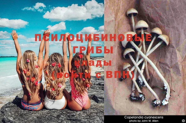 дживик Абдулино