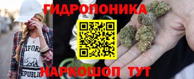 стаф Усть-Илимск