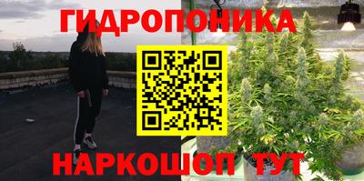 стаф Усть-Илимск